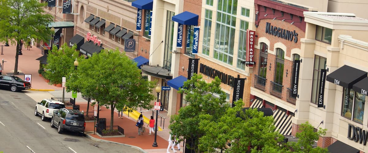 Friendship Heights showing street scenes and a city