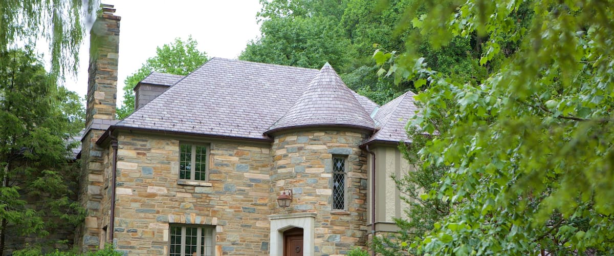 Spring Valley showing a house and a park