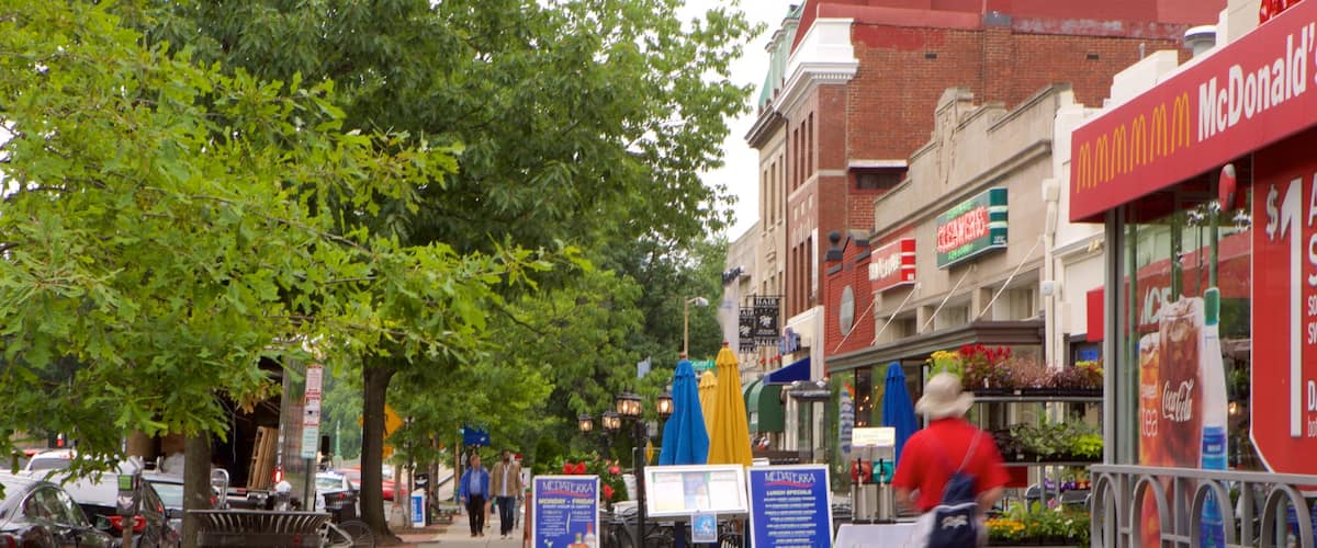 Woodley Park which includes street scenes