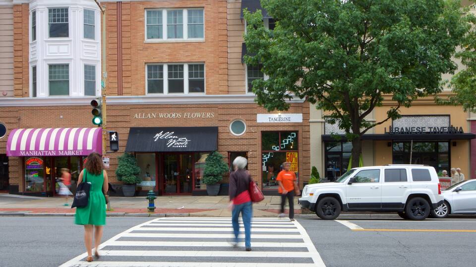 Woodley Park showing a city and street scenes