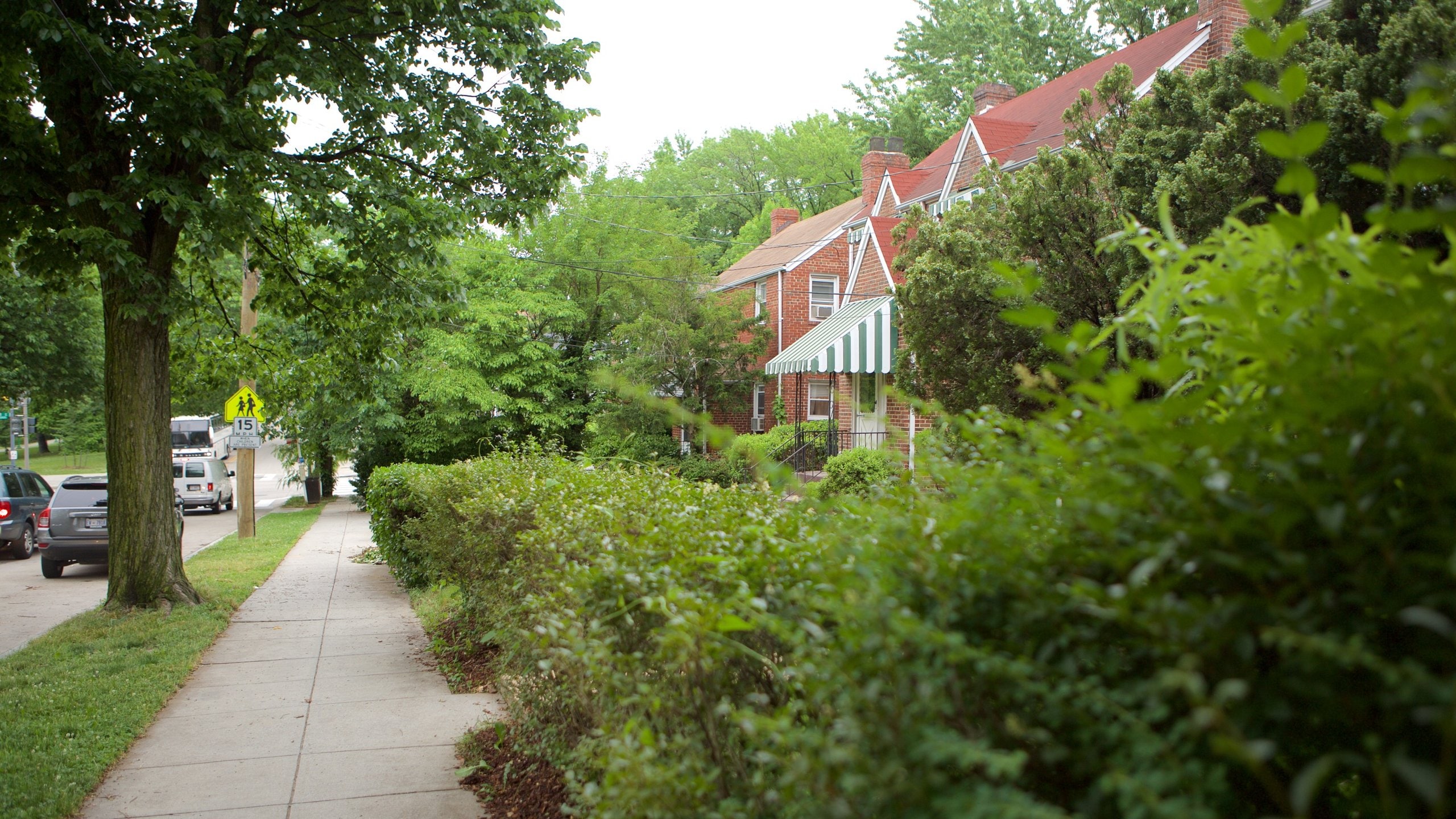 Top 20 Northeast, Washington condo and apartment rentals from 86/night