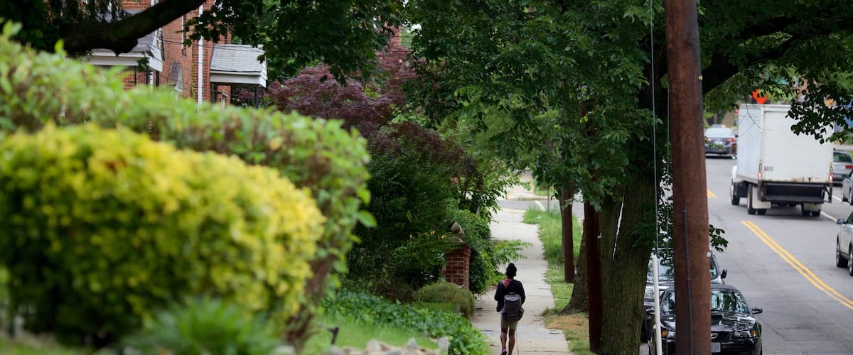 Langdon which includes street scenes and a park as well as an individual femail