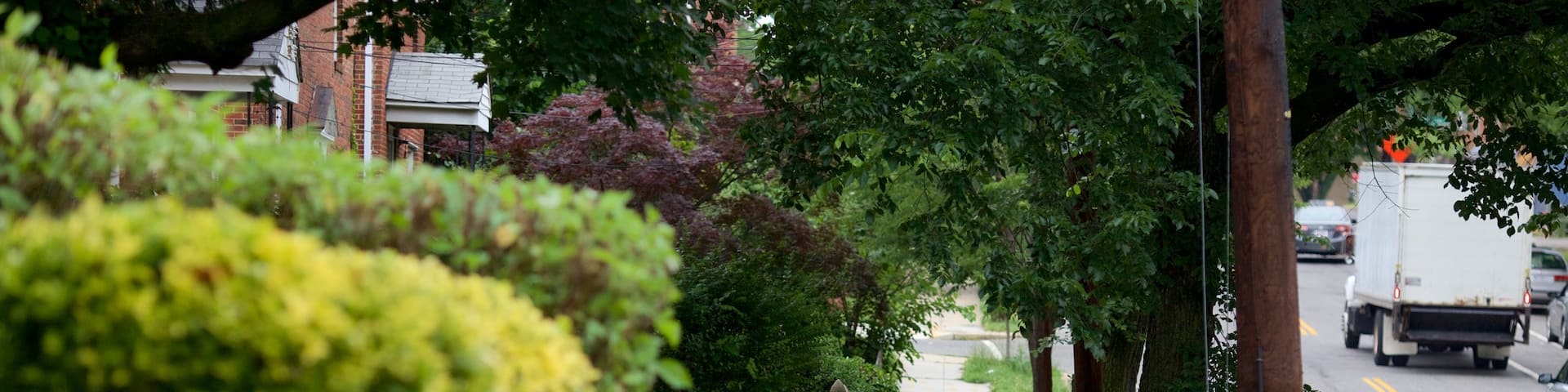 Langdon which includes street scenes and a park as well as an individual femail