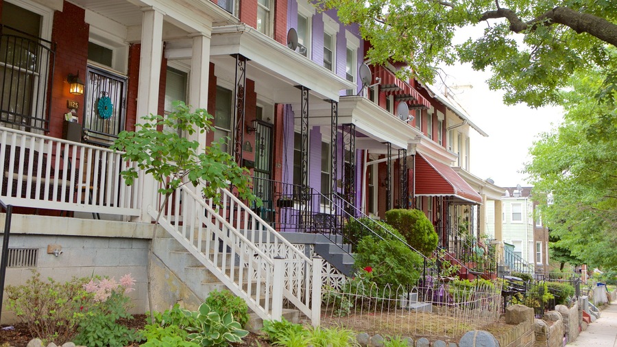 Gallaudet featuring a house, heritage elements and a park