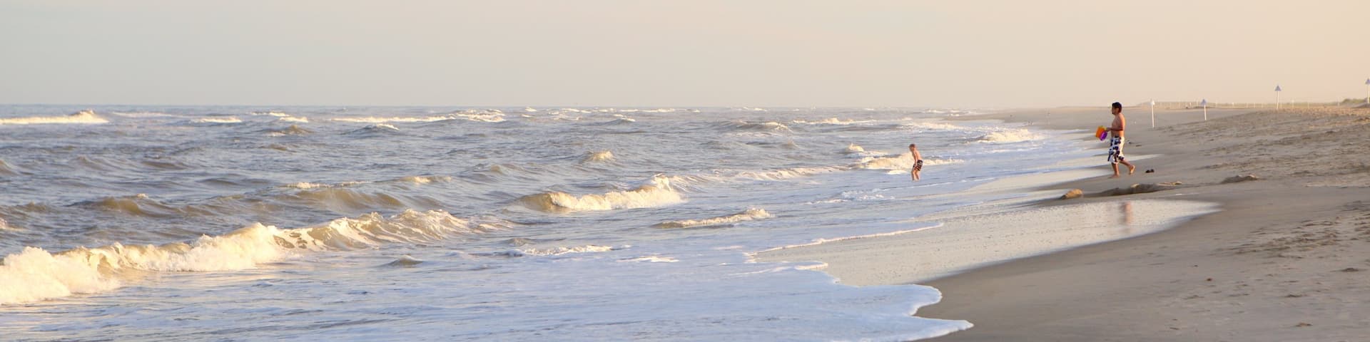 Chincoteague which includes a sandy beach and waves