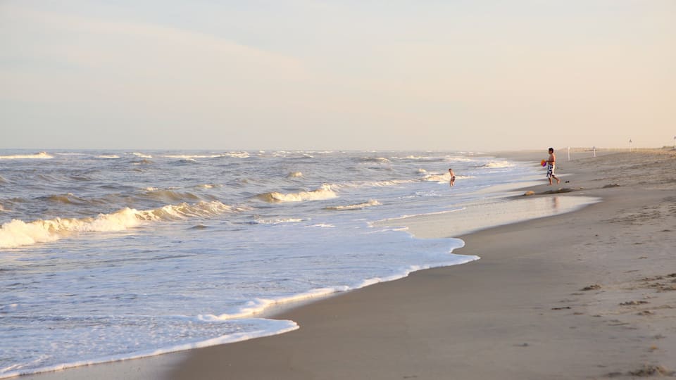 Chincoteague which includes waves and a sandy beach