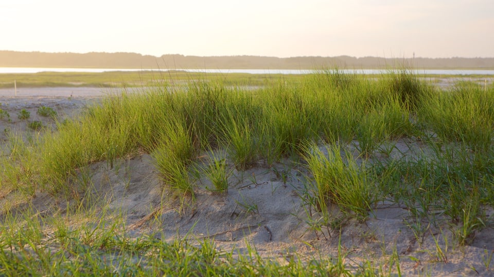 Chincoteague featuring general coastal views and a beach