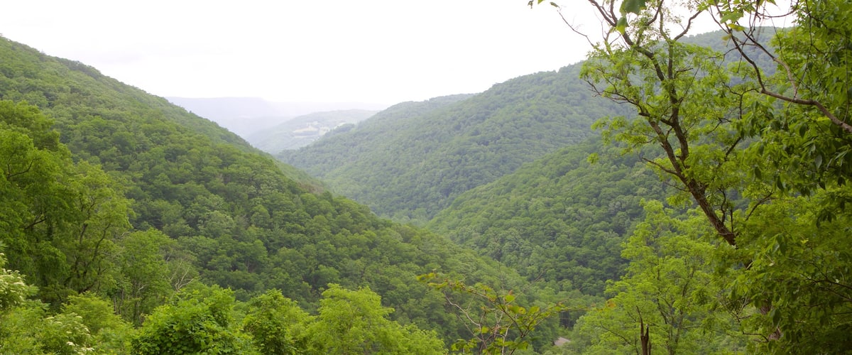 Canaan Valley which includes mountains and tranquil scenes