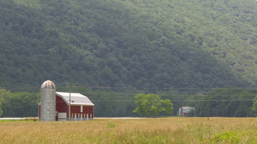 Canaan Valley qui includes paysages paisibles, terre agricole et une maison