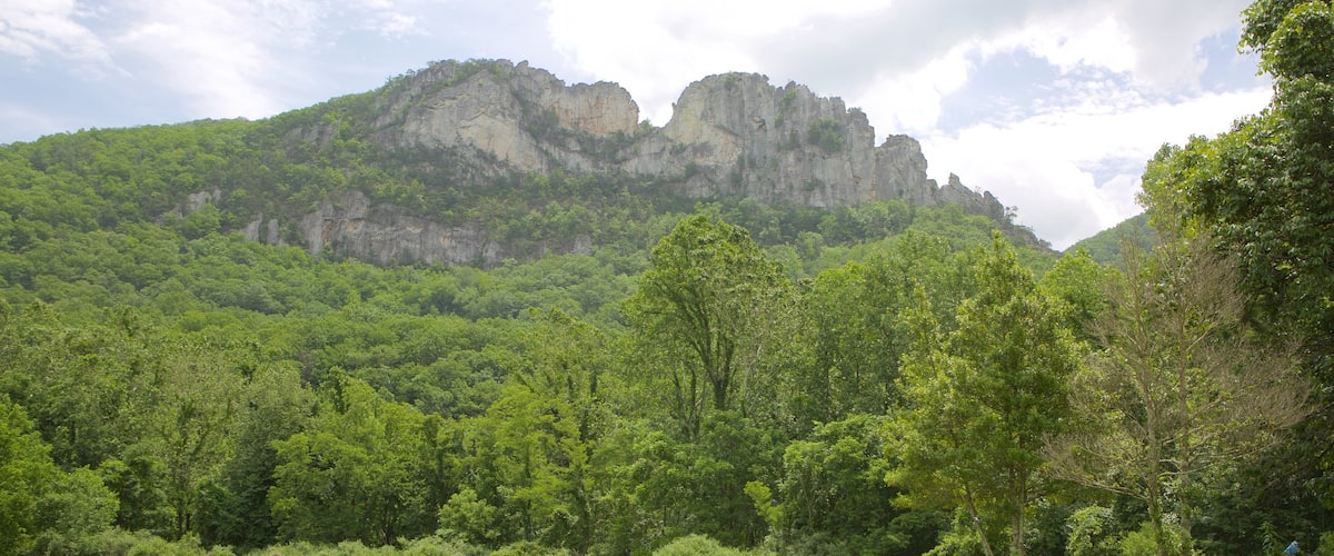Seneca Rocks featuring a garden and mountains