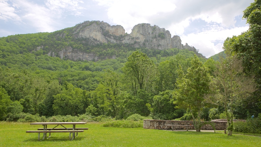 Seneca Rocks ofreciendo montañas y un jardín
