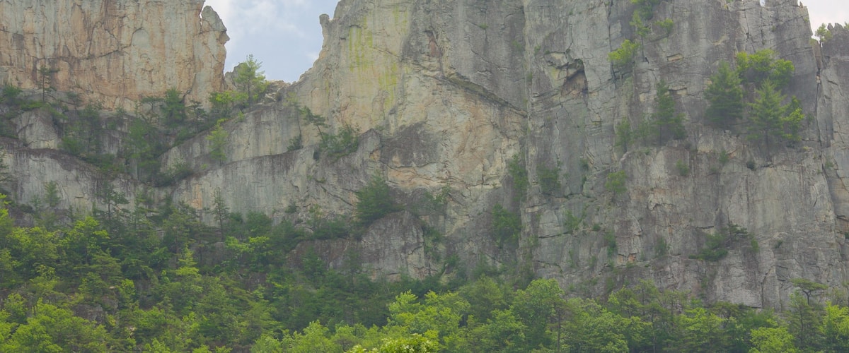 West Virginia which includes tranquil scenes and mountains