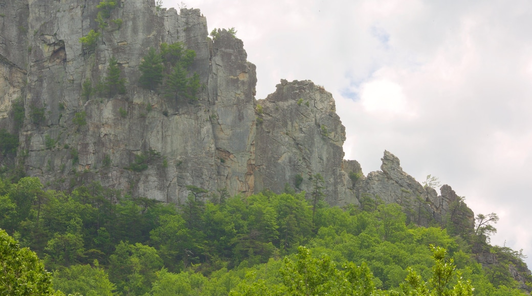 Seneca Rocks que incluye montañas