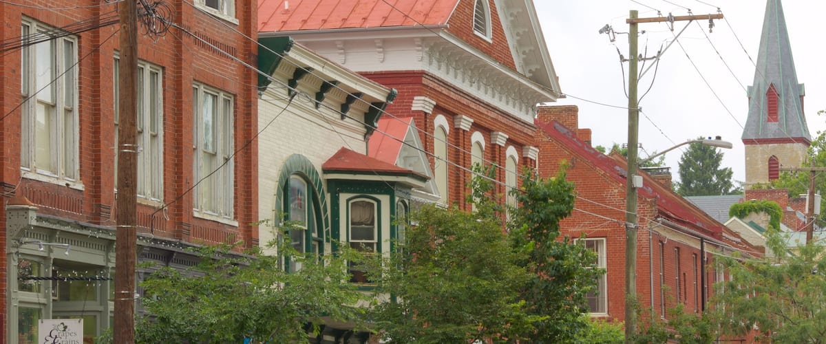 Shepherdstown showing a small town or village and heritage elements
