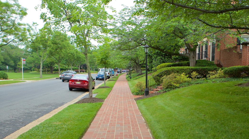 Fairfax showing a garden and street scenes