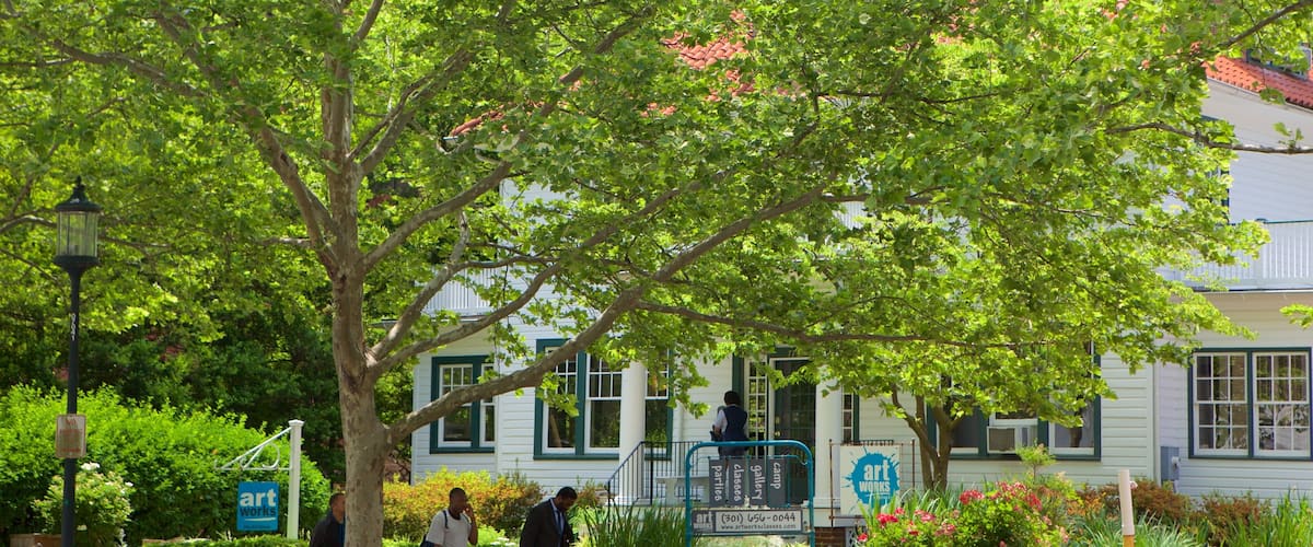 Bethesda, MD inclusief een tuin en een huis
