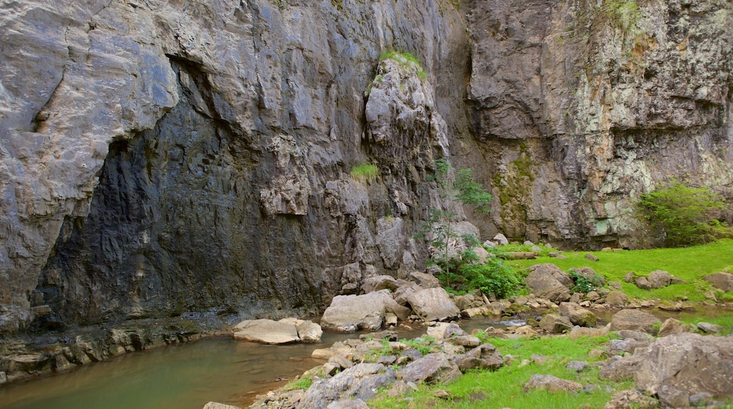 Natural Bridge Virginia featuring a park, a river or creek and a gorge or canyon