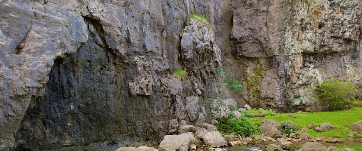 Puente natural de Virginia mostrando un río o arroyo, un barranco o cañón y un parque