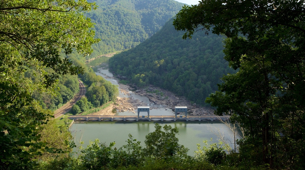 Hawks Nest State Park showing a river or creek, tranquil scenes and a bridge