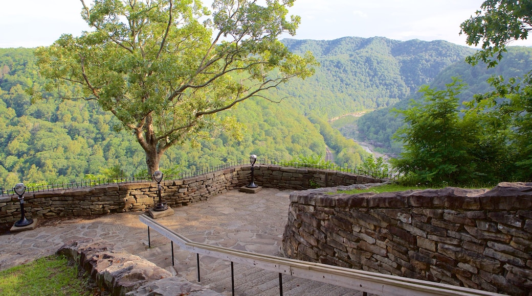 Parque estatal Hawks Nest mostrando escenas tranquilas, vistas y montañas