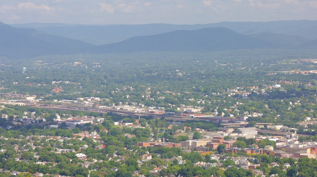 Mill Mountain Star showing a city, mountains and landscape views