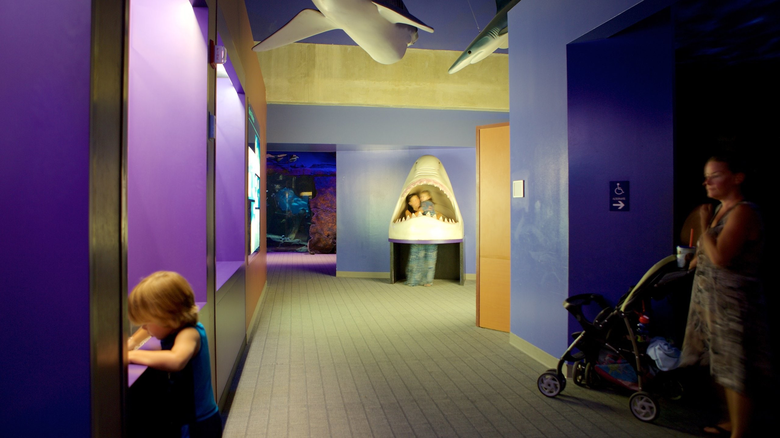 Virginia Aquarium and Marine Science Center, Virginia Beach Vacation