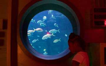 marine science center in dam neck