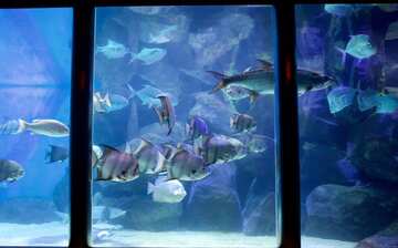 marine science center in dam neck