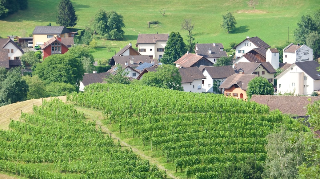 Liechtenstein featuring tranquil scenes, a small town or village and farmland