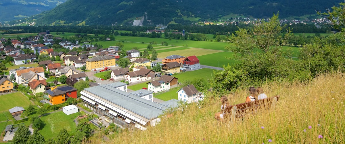 Liechtenstein featuring a small town or village, mountains and tranquil scenes