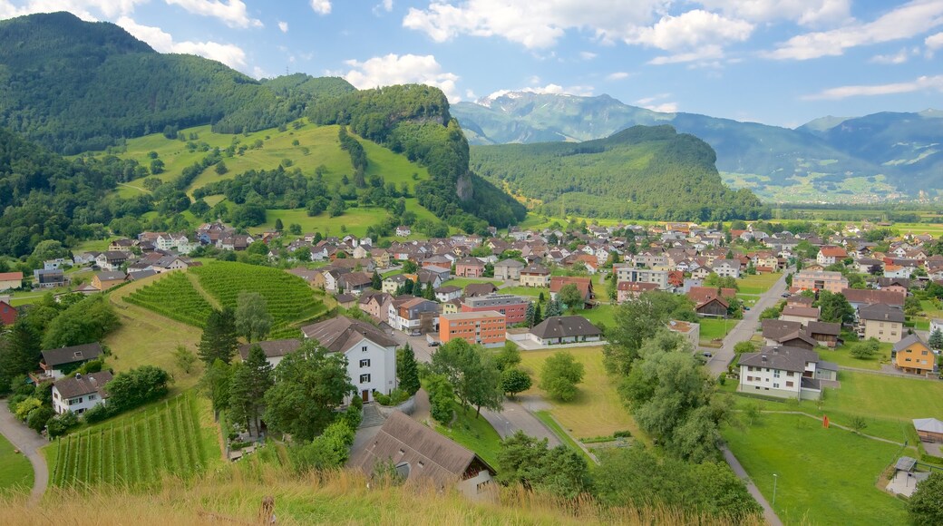 Liechtenstein que inclui uma cidade pequena ou vila, cenas tranquilas e fazenda