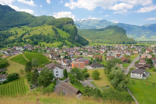 Liechtenstein showing a small town or village, tranquil scenes and farmland