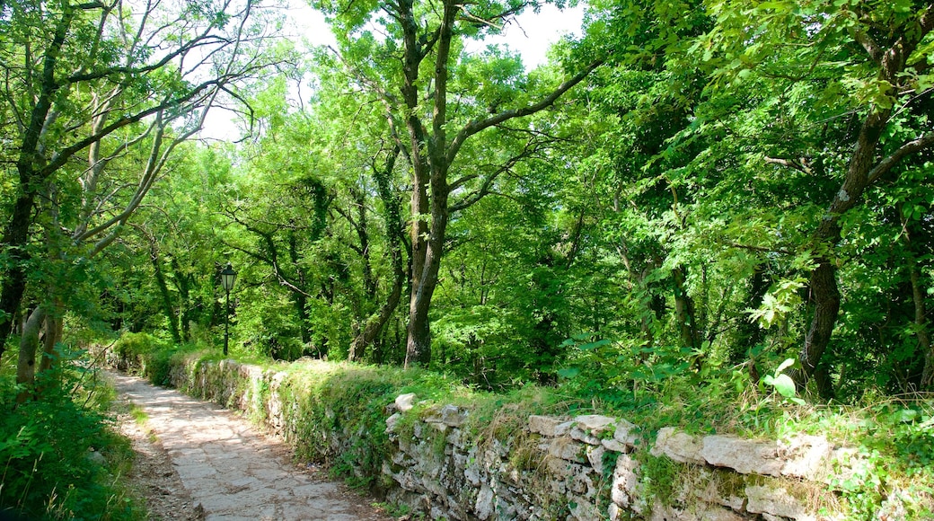 Montale Tower which includes a park