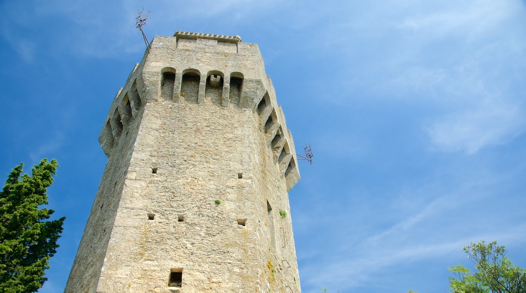 Torre Montale ofreciendo un castillo y elementos del patrimonio