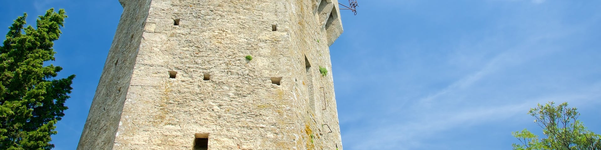 Montale Tower showing a castle and heritage elements