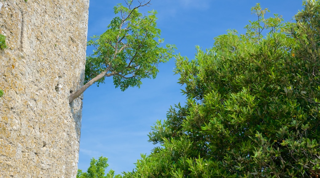 Montale-Turm mit einem Geschichtliches und Palast oder Schloss