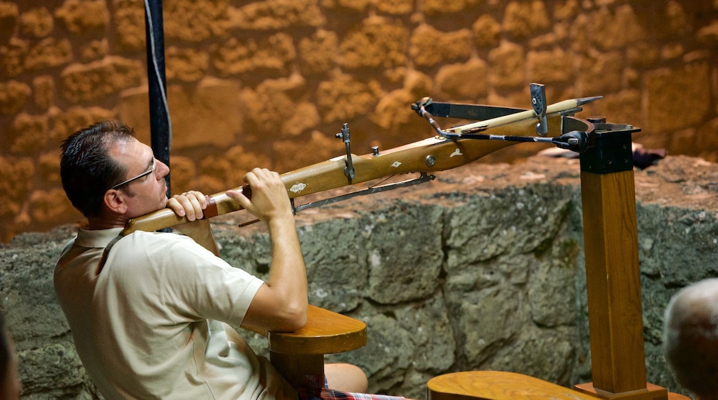 San Marino featuring performance art, heritage elements and a festival