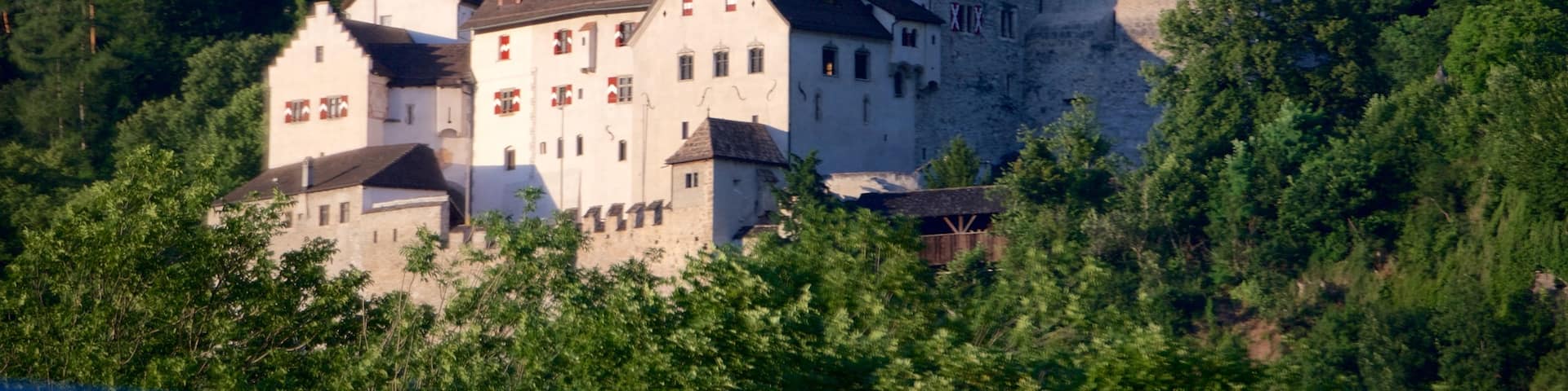 Vaduz Castle showing heritage architecture, chateau or palace and forest scenes