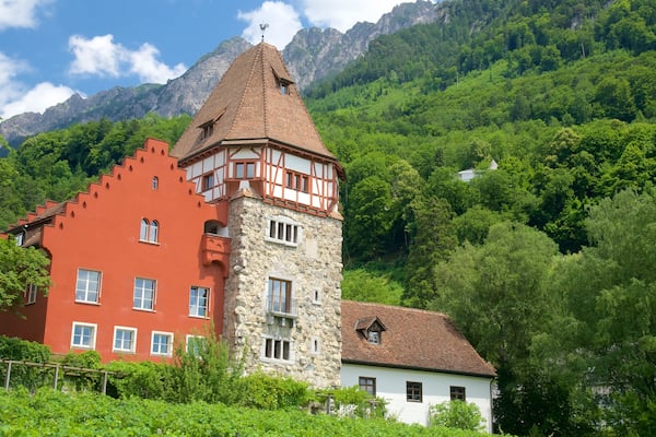 Vaduz which includes tranquil scenes, mountains and heritage elements