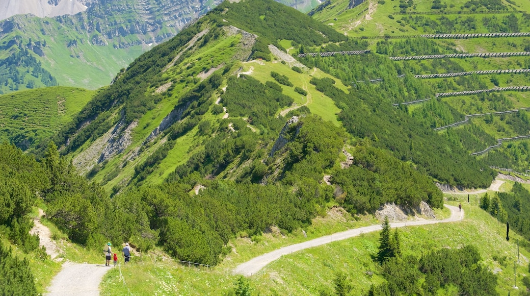 Malbun som inkluderar landskap, stillsam natur och berg