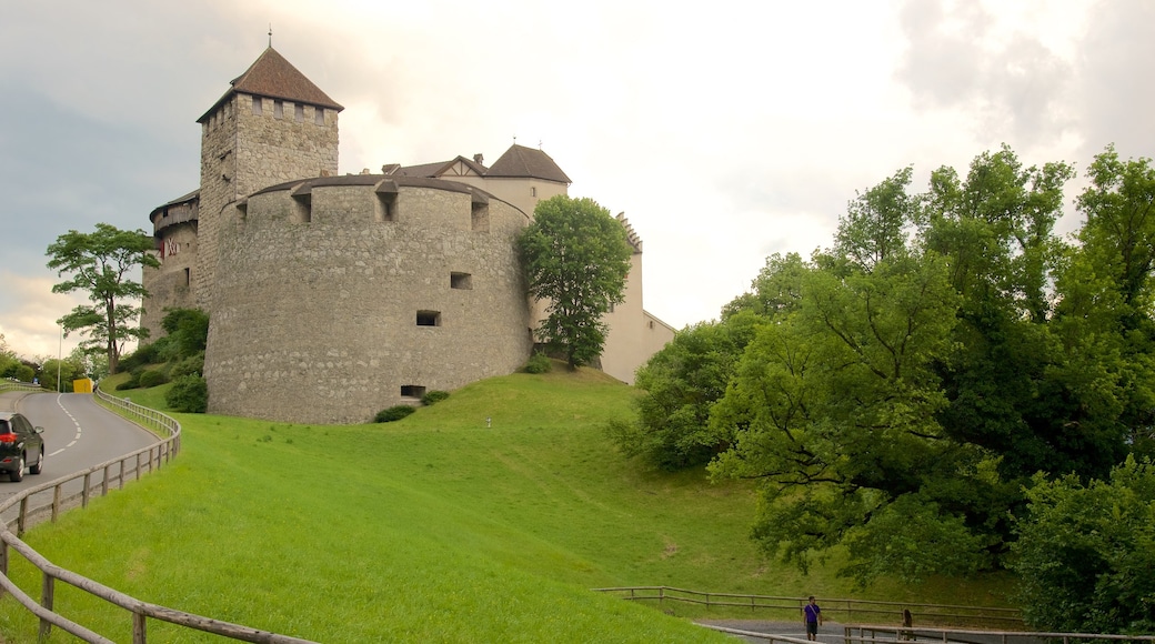 Vaduz Castle which includes château or palace, tranquil scenes and heritage architecture
