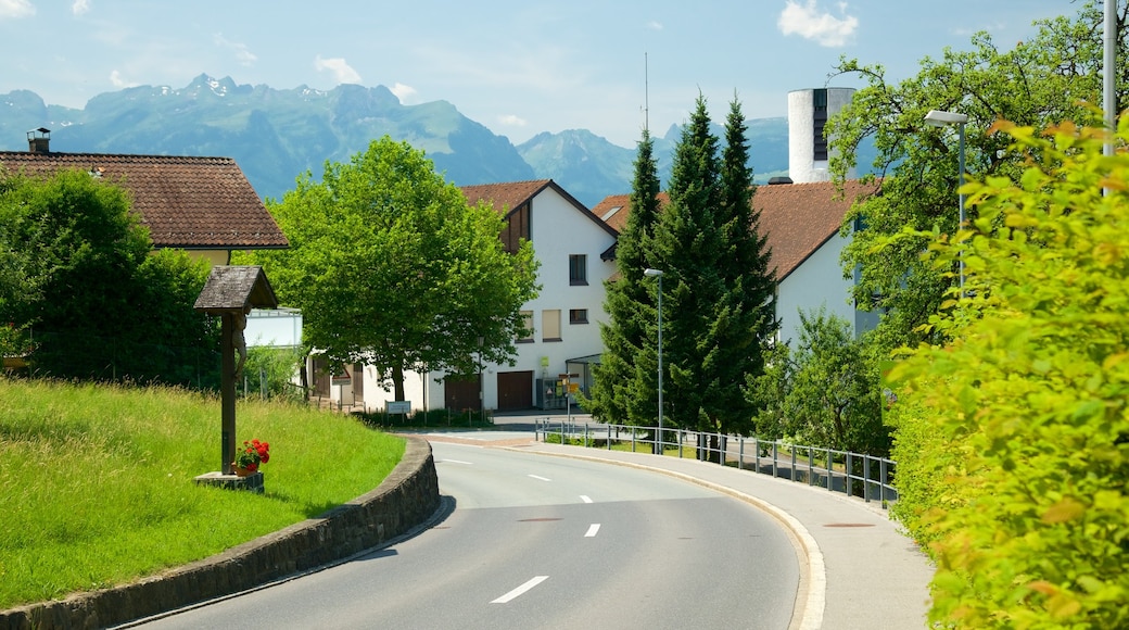Liechtenstein que incluye una pequeña ciudad o aldea y imágenes de calles