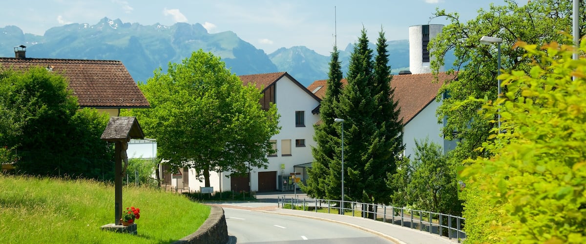 Liechtenstein showing street scenes and a small town or village
