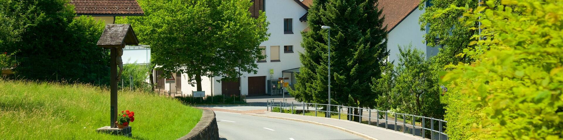 Liechtenstein showing street scenes and a small town or village