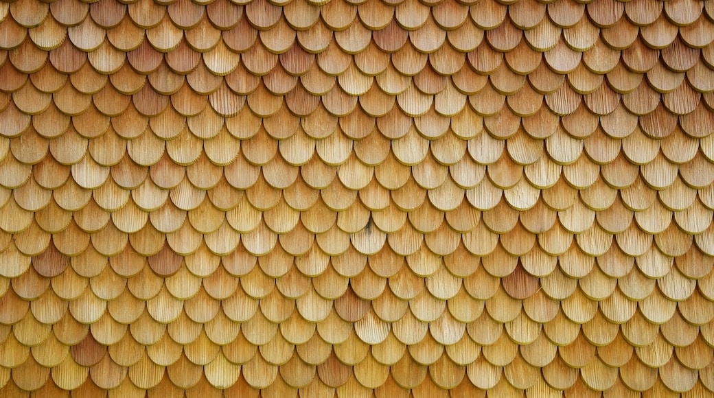 Schellenberg