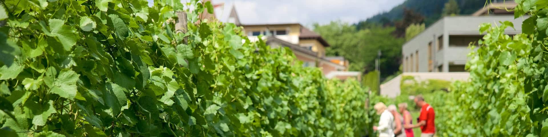 Vaduz featuring farmland as well as a small group of people