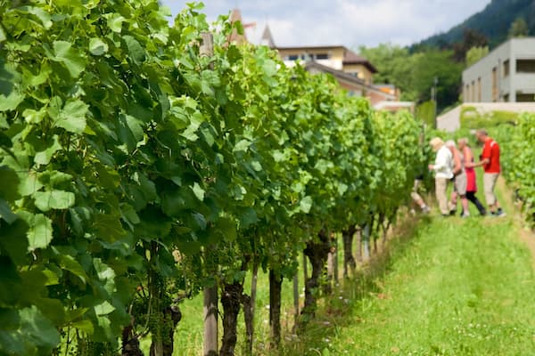 Vaduz which includes farmland as well as a small group of people