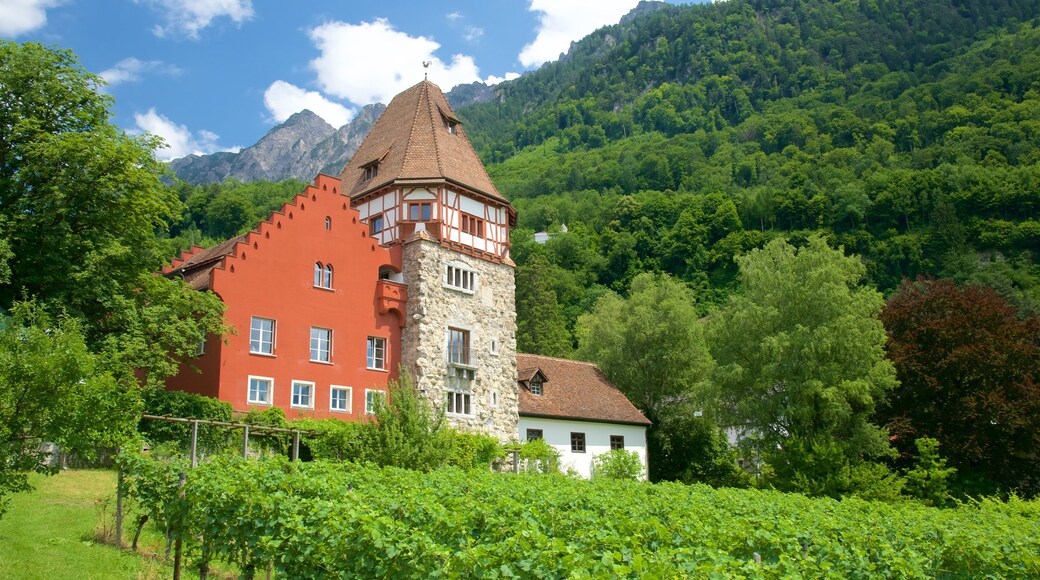 Vaduz ofreciendo escenas tranquilas, montañas y una casa