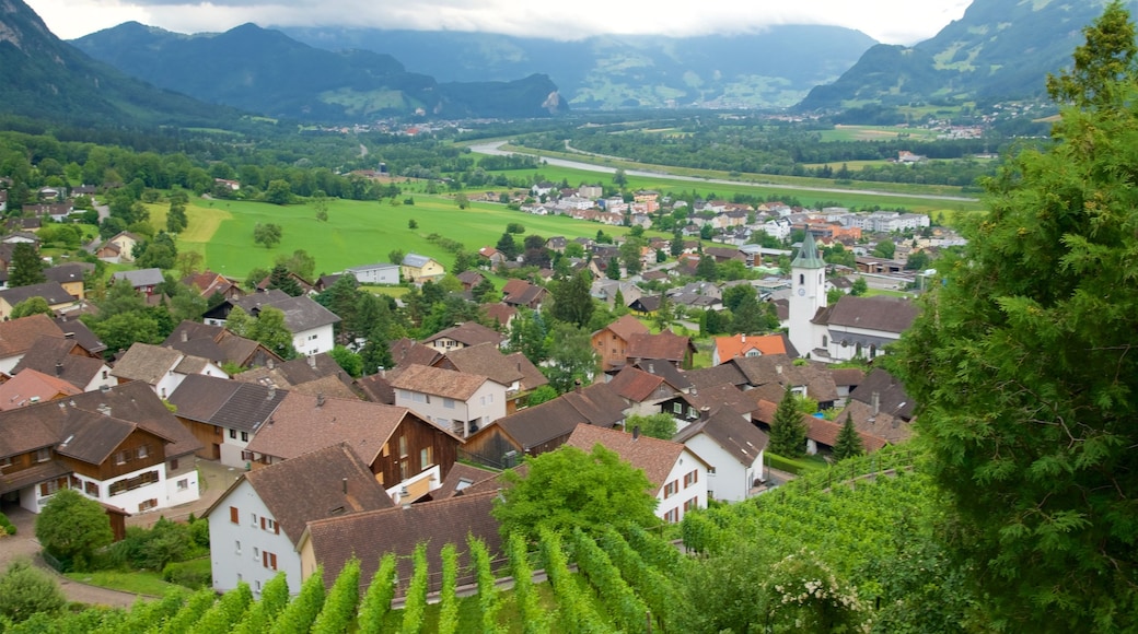 Liechtenstein caracterizando fazenda, cenas tranquilas e uma cidade pequena ou vila
