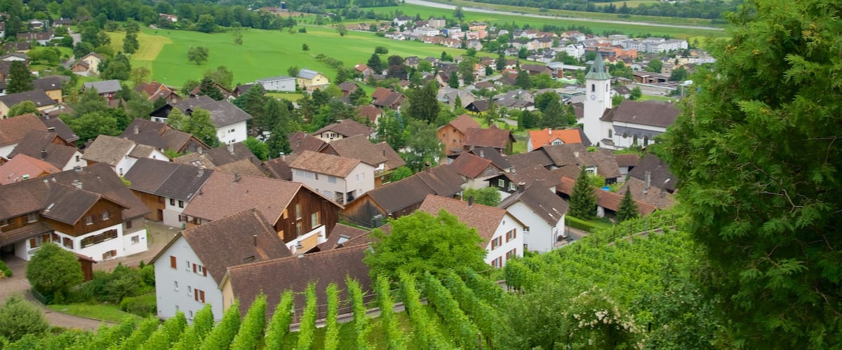 Liechtenstein ofreciendo escenas tranquilas, una pequeña ciudad o pueblo y tierras de cultivo